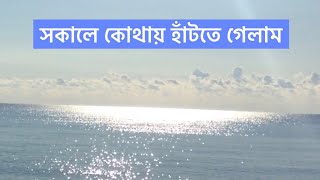 আমরা সকালে কোথায় হাঁটতে গেলাম