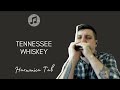 🎶 Bruno Zolini - Tennessee Whiskey - Country Music (Harmonica Tab - na Gaita com Tablatura)