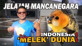 JUAL MASKOKI SEJAK BANGKU SD, KINI MENJELMA JADI EKSPORTIR NOMOR 1 DI INDONESIA | LIMAS FARM