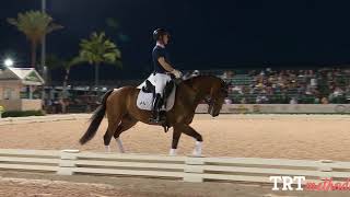 When  your horse is tense at competitions - Demo with Hylofit