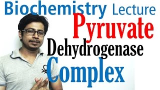 Pyruvate dehydrogenase complex