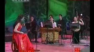 Chinese erhu music:阿美族舞曲 /二胡：邵琳