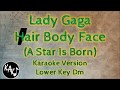 Lady Gaga - Hair Body Face Karaoke Instrumental Lyrics Cover Lower Key Dm