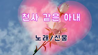 천사같은아내 - 신웅