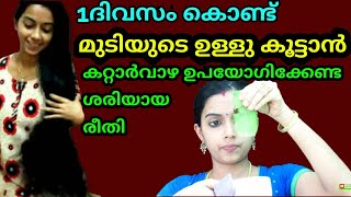 മുടിക്ക് നീളവും കനവും കൂട്ടാൻ കറ്റാർവാഴ ഉപയോഗിക്കേണ്ടരീതി|How to Use Alovera Gel For Fast Hairgrowth