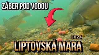 Výprava - Záber Kapra pod Vodou 🐋 Liptovská Mara 😤 Lov kapra na boilies | Rybárske videá s Demexom