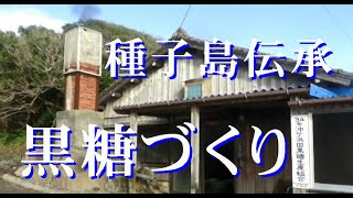 種子島伝承「黒糖づくり」・34号沖ヶ浜田黒糖生産組合・西之表市伊関沖ヶ浜田　R6 11 30