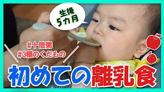 【生後5ヶ月 赤ちゃん】離乳食を勢いよく食べる！キューピーベビーフード3種のくだもの（りんご、バナナ、オレンジ）と十倍粥。