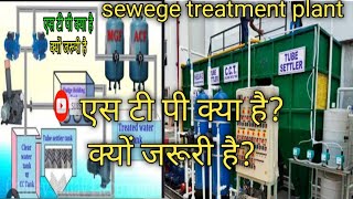 STP क्या है? एस टी पी क्यों जरूरी है?।sewage treatment plant full process। #stp #stpuma #viralvideo