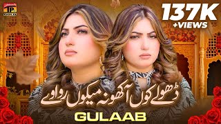 Gulaab New Song 2024 | Dhole Kon Aakho Na Mekon Rowave | Gulaab | new saraiki song 2024 | Tp Gold