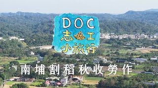 2021《DOC 志工小旅行》南埔割稻秋收勞作 / 明基基金會