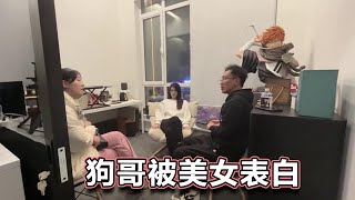 狗哥遭遇傻白甜美女表白，上手紧握，谎称自己不婚主义后被骗，10万块搞定…阿兴微信号：dskaka002  【柴犬阿兴】