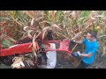 Mini corn harvester