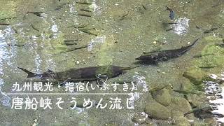 01 九州観光【指宿|いぶすき】唐船峡そうめん流し チョウザメの泳ぐ池【癒し動画】