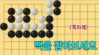 유단자사활 #86 (3단이상)