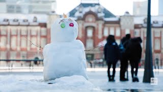 首都圏大雪、トラブル相次ぐ　転倒などで500人以上負傷、事故続出