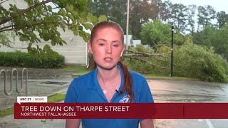 Maya Sargent reports on storm damage in Northwest Tallahassee