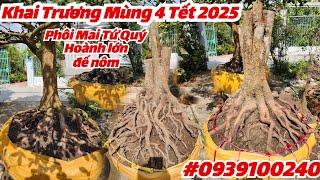 #Khai Trương Mùng 4 Tết 2025 #0939100240, Phôi Mai Tứ Quý Hoành lớn, đế nôm @cscanthohg