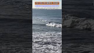 [거리영상] 캘리포니아 헌팅턴비치 서퍼들 🏄