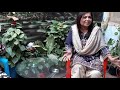 asma tauheed educationist writer producer host voice over artist family vlog part 1