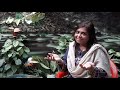 asma tauheed educationist writer producer host voice over artist family vlog part 1