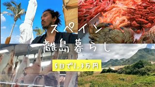 【スペイン離島】総集編│27歳│テネリフェ島│ほぼアフリカ│旅