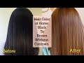 How To Apply Hair Color at Home || Black To Brown Hair Without Cutdown || Keune Hair Color