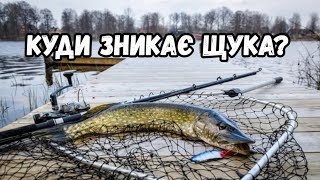 Таємниці щучих місць : де вони полюють весь рік? Які улюблені місця щук?  Переміщення щук в річках.