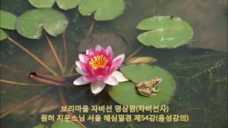 세가지 지혜 때문에 해탈함 | 해심밀경 제54강(음성강의) 【서울 자비선 명상센터 | 자비선사 | 지운스님】