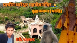 प्राचीन धारेश्वर महादेव मंदिर गुड़ा श्यामा | तीर्थ स्थल | ( पाली)  राजस्थान 🙏🙏