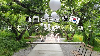 【日韓夫婦】日本人ママと息抜きにカフェでゆっくり♪のはずが…｜韓国カフェ｜韓国料理｜韓国在住｜国際結婚