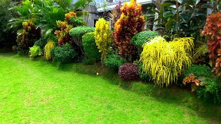 GRABE SA GANDA ANG GARDEN NG OFW COUPLE NA PLANTITA AT PLANTITO