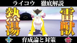 【ポケモン剣盾】ライコウの育成論と対策、入手方法まとめ！性格や技構成を元プロゲーマーが徹底解説！【ポケモンソードシールド】