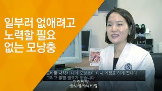 일부러 없애려고 노력할 필요 없는 모낭충 - (20130807_468회 방송)_모낭충, 무조건 없애야만 할까?