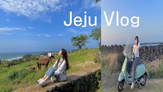 Eng) Travel to Jeju, South Korea🌴 Trip Vlog