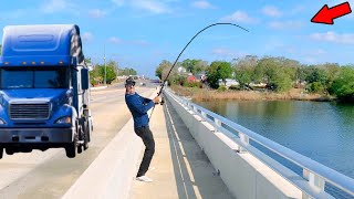 MASSIVE Fish from a Crowded Hwy Bridge! *New PB?*