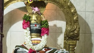 லிங்கோத்பவ கால வழிபாடு #மகாசிவராத்திரி#live#Mahashivratri mullukurichi