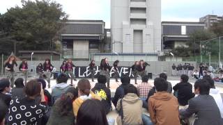 MILDHEAVEN 2013 東邦祭「WORD」　ジャンル「Girls」