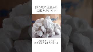 世界を変える「卵の殻」【卵に関する雑学】