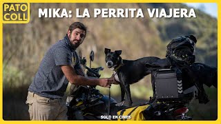 ¿Cómo VIAJAR con tu PERRO en MOTO? De MÉXICO hasta ARGENTINA en BAJA CC