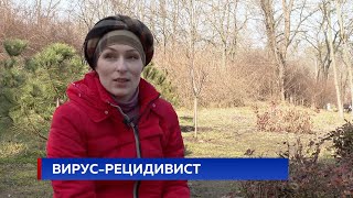 ВИРУС-РЕЦИДИВИСТ