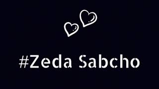 ZEDA SABCHO - PROJECT DZ.G... - MIX #2