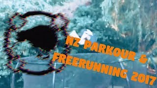 NZ PARKOUR AND FREERUNNING 2017