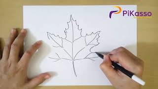 How to Draw Autumn Leaves step by step