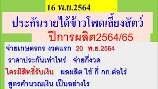 ประกันรายได้ข้าวโพดเลี้ยงสัตว์ ปี2564/65 จ่ายเงินอย่างไร  จ่ายวันไหน