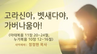 [2023년 4월 1일 새벽예배] 고라신아, 벳새다야, 가버나움아