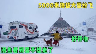 【西部.76】房车自驾318，东达山下大雪了，漫鱼玩得太激动有点高反了