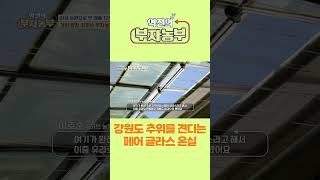 [역전의부자농부 301회] 페어 글라스 온실