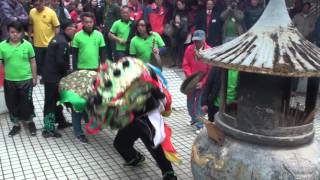 坑口區丙申年2016醒獅麒麟新春團拜-上洋村上溪麒麟團麒麟參拜