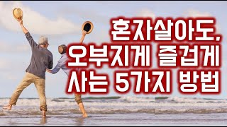 혼자살아도, 오부지게 즐겁게 사는 5가지 방법 - 원더풀 인생후반전